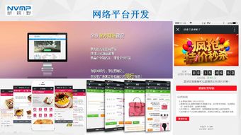 瓊海市互聯網協會會員風采 海南新視野企業營銷策劃服務有限公司——深耕本土，智創未來